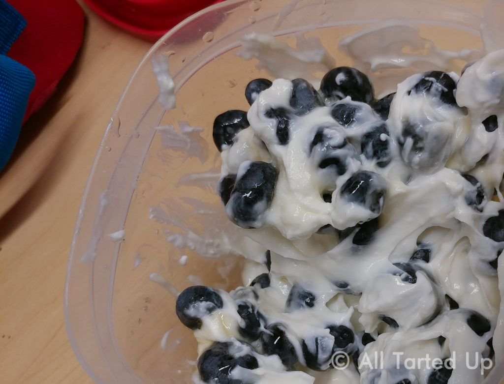 Blueberries and Yogurt